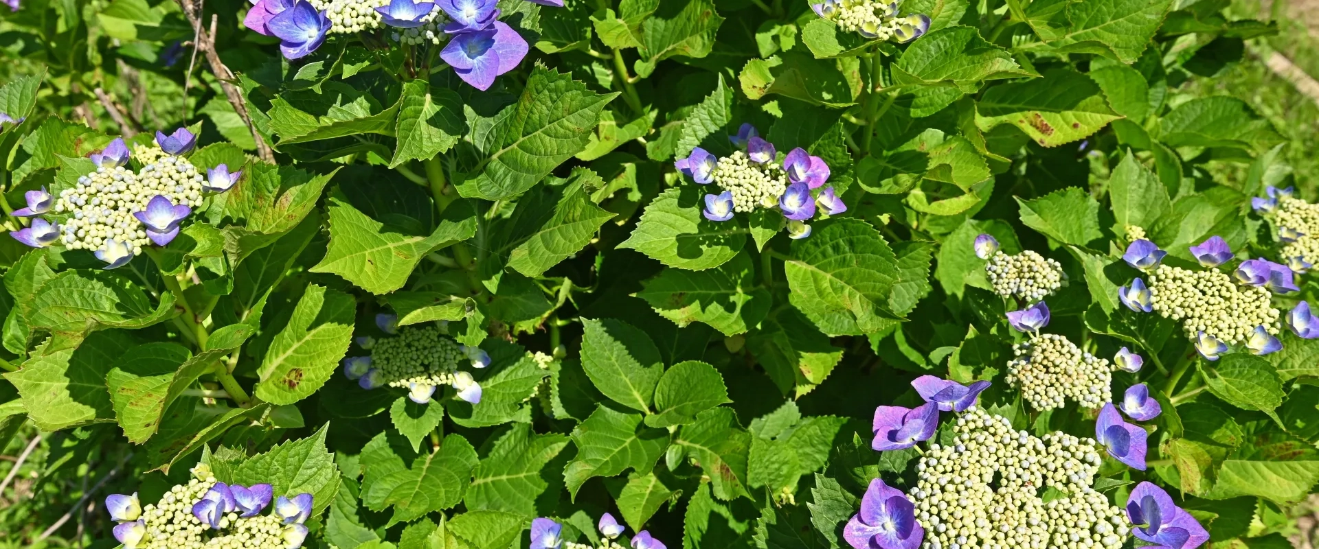 遺言・相続・生前贈与・任意後見の
エキスパート行政書士です。
遺言や相続でお悩みの方は、
清水行政書士事務所にお相談ください。